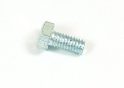 Cam Chain Bolt